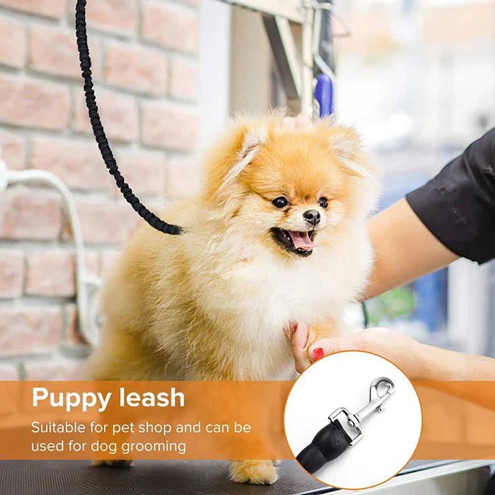 Heavy Duty Dog Leash Stretchable Reflective Com