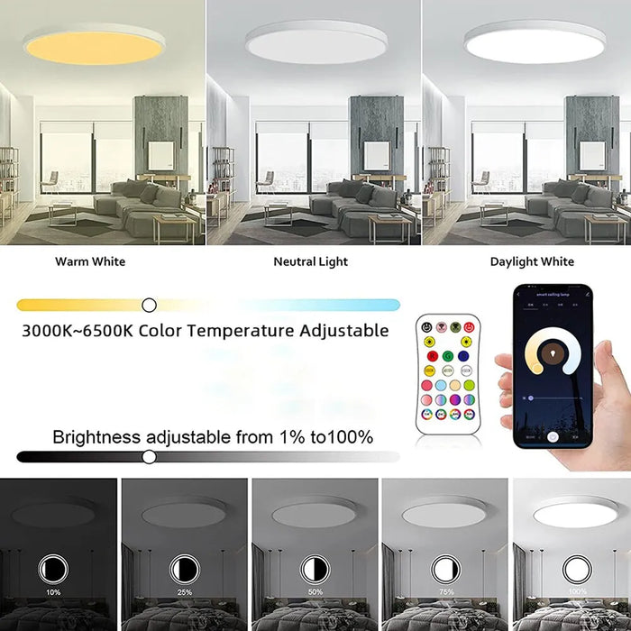 Round Smart Ceiling Light