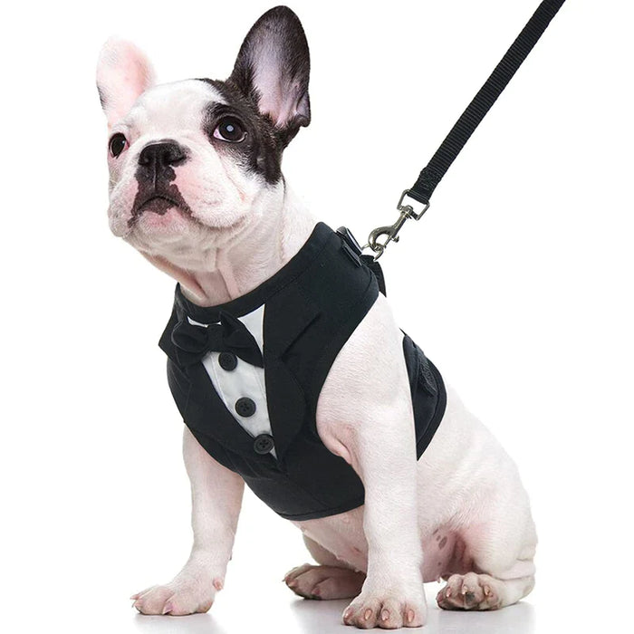 No Pull Tuxedo Dog Harness Set With Leash And Bow Tie Soft Breathable Mesh