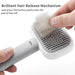 Cat Brush Self Cleaning