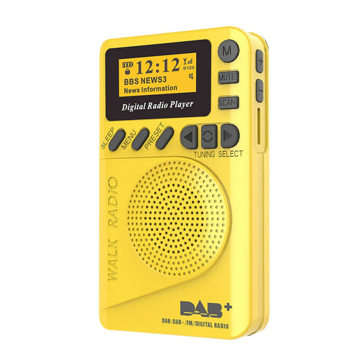 Portable Fm/dab/dab Radio With Mp3 Player