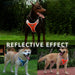 Reflective Rainproof Dog Harness For Small And Large Breeds