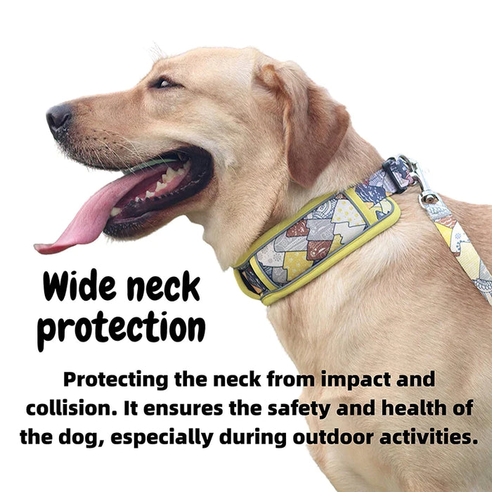 Fashionable Dog Collar Wide Neck Strong Breathable Dual D Rings Padded Printed Quick Release Buckle