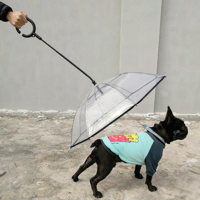 Adjustable Transparent Pet Umbrella For Rainy Walks