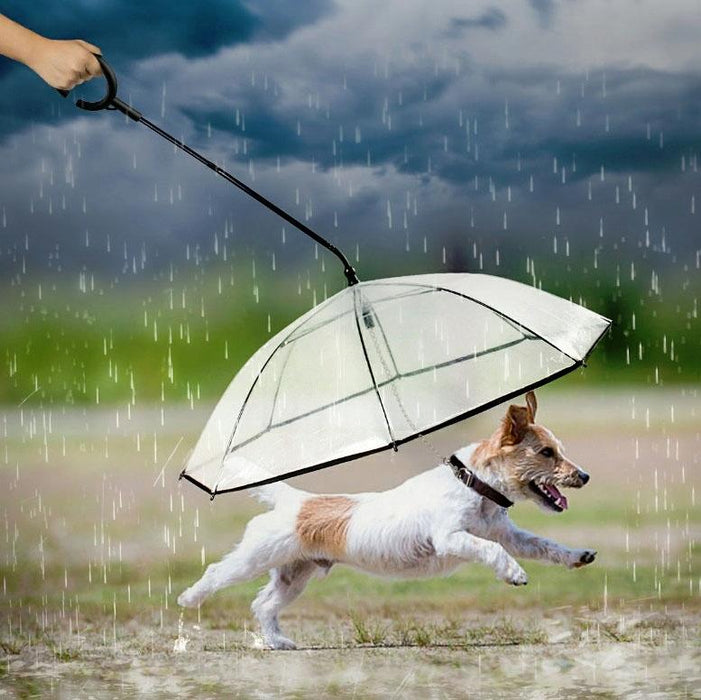 Adjustable Transparent Pet Umbrella For Rainy Walks