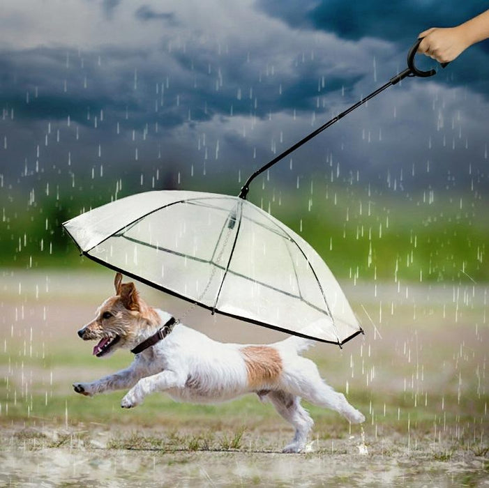 Adjustable Transparent Pet Umbrella For Rainy Walks