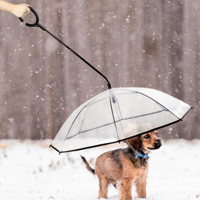 Adjustable Transparent Pet Umbrella For Rainy Walks