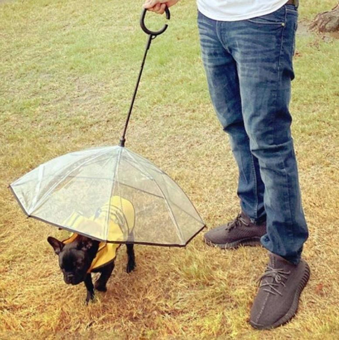 Adjustable Transparent Pet Umbrella For Rainy Walks