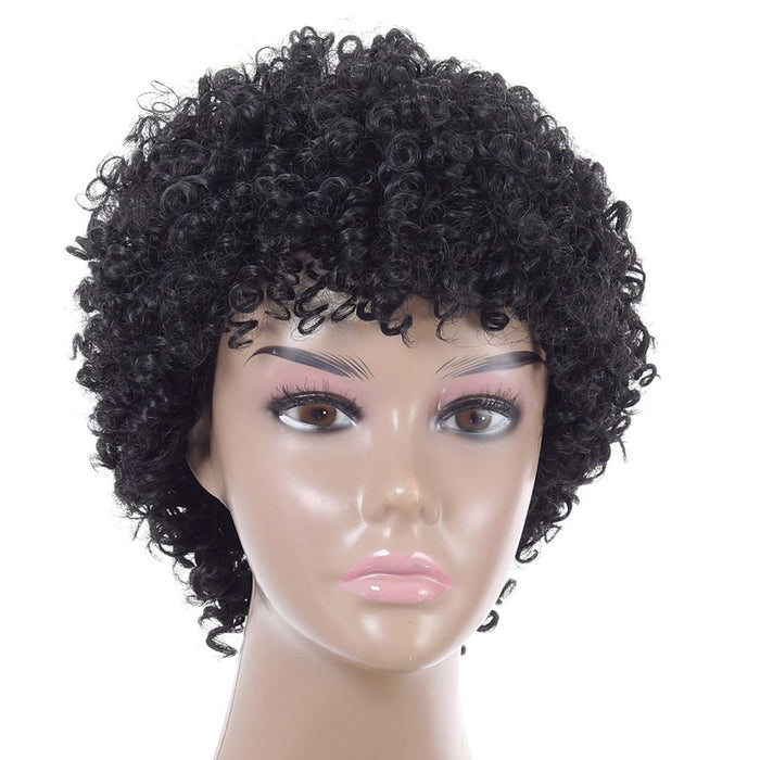 Short Curly High Temp Silk Wig