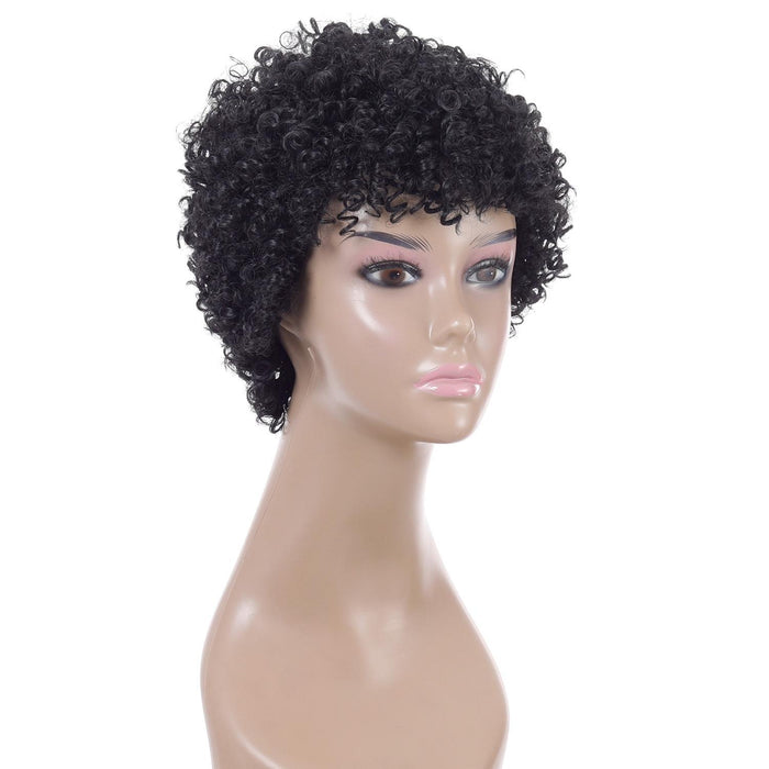 Short Curly High Temp Silk Wig