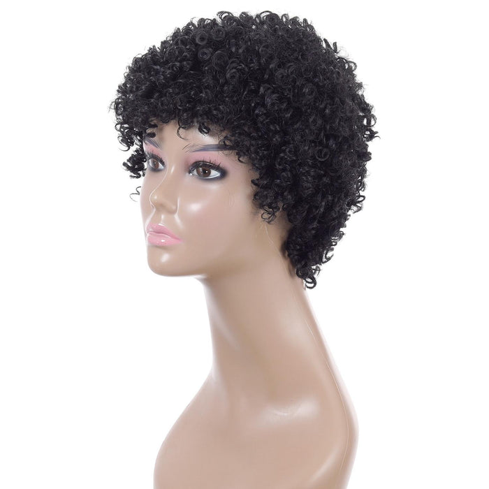 Short Curly High Temp Silk Wig