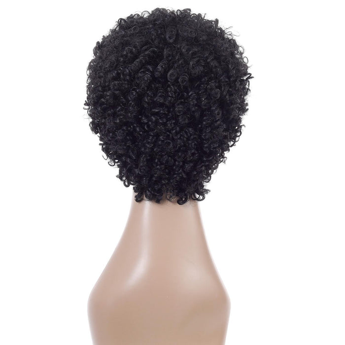 Short Curly High Temp Silk Wig