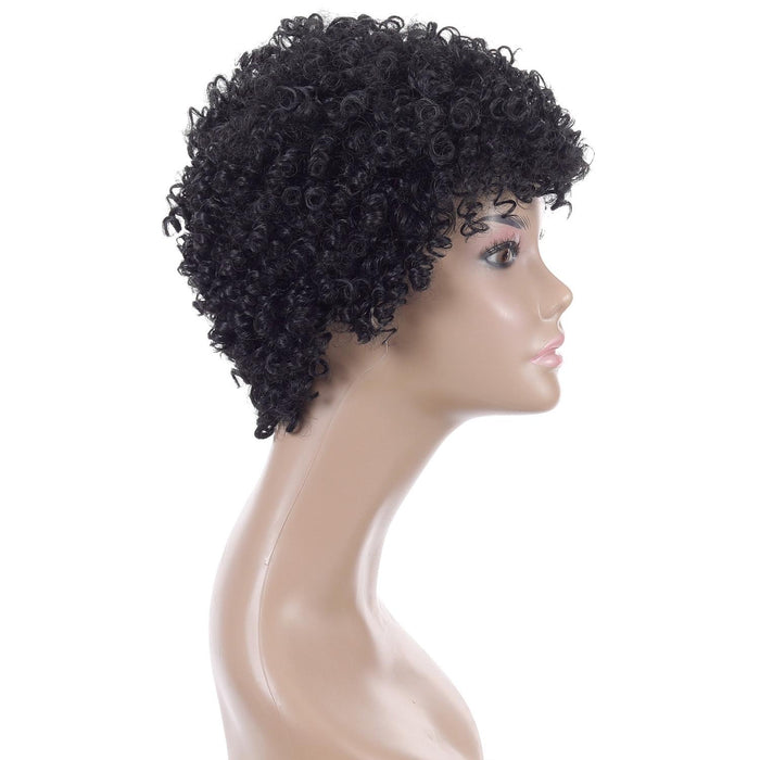 Short Curly High Temp Silk Wig