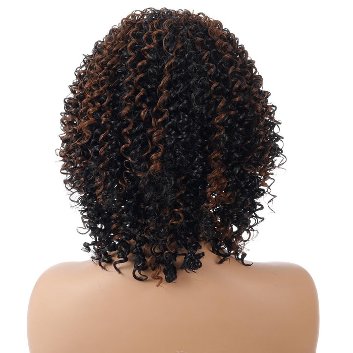 Short Curly High Temp Silk Wig