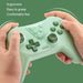 Wireless Game Controller For Switch And Pc