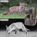 36mp 4k 4g Hunting Camera with App Control for Remote