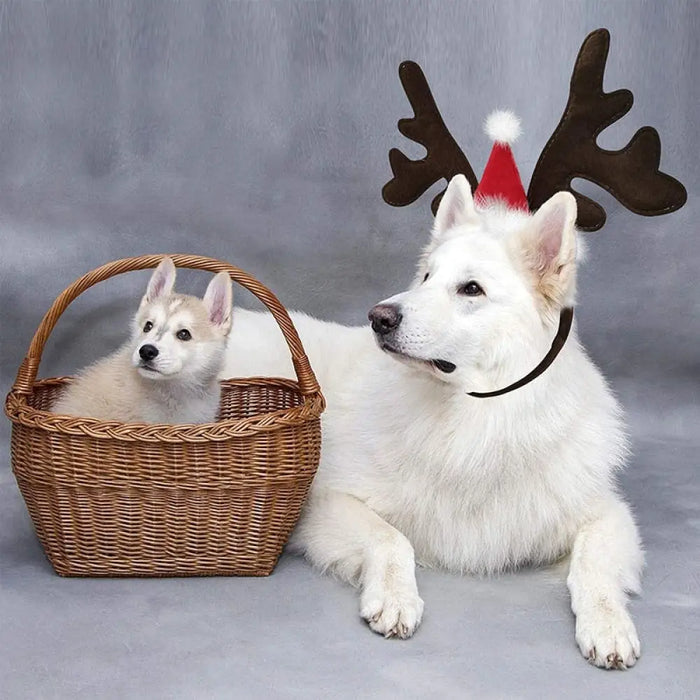 Adjustable Elastic Strap Reindeer Headwear Costumes For Dogs