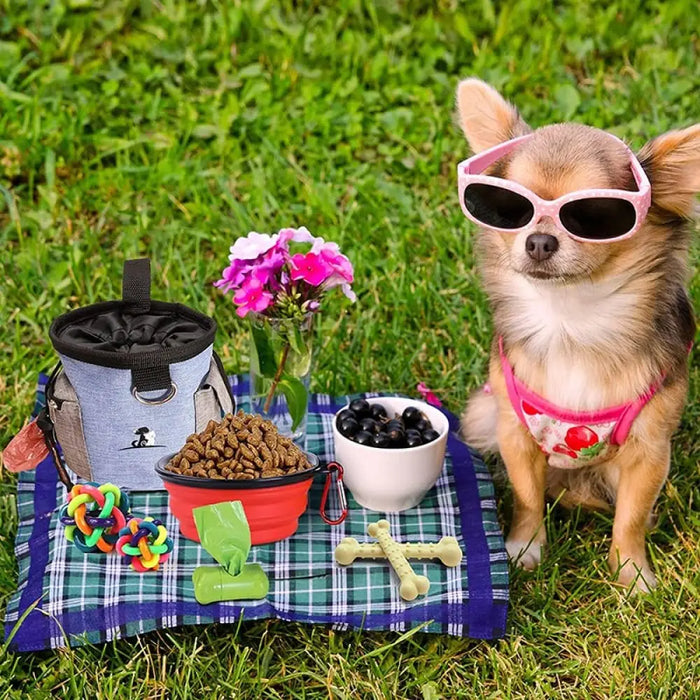 Adjustable Waist Strap Built-in Poop & Treat Training Bag