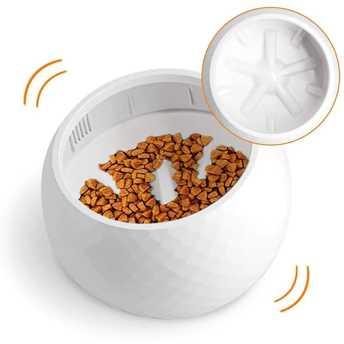 Anti-choking No Spill Slow Feeder Dog Bowl For Small