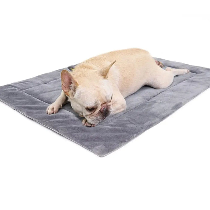 Anti-slip Waterproof Lightweight Warm Soft Sleeping Dog Bed