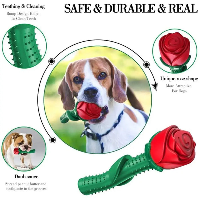 Attractive Durable Floatable Cleaning Teeth Rose Shaped Dog