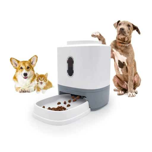 Automatic Non-slip Dry Food Dispenser For Small Medium