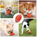 Bite-resistant Floatable Bouncy Squeaker Football Toy