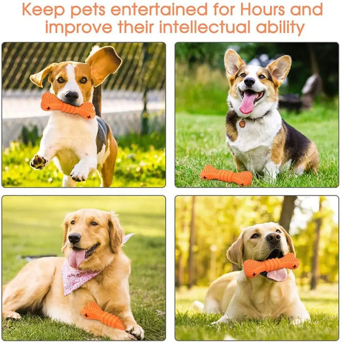 Bite Resistant Safe Food Dispensing Rubber Dog Chew Toys