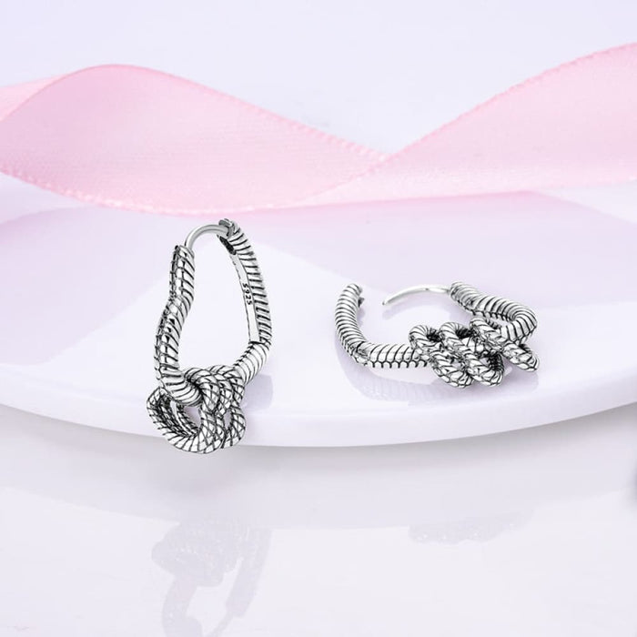 Charms Double Heart Hoop Earrings For Women 925 Silver Cubic Zircon Feather Earrings Elegant Jewelry