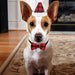 Classic Plaid Bandana Hat Bow Tie Christmas Costume Set