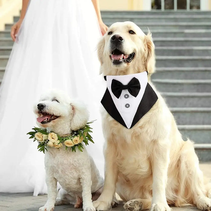 Comfortable Detachable Adjustable Tuxedo Pet Bandana