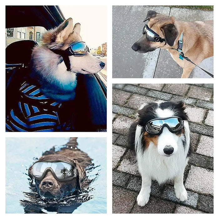 Comfortable Medium Large Adjustable Strap Pet Dog Sunglasses