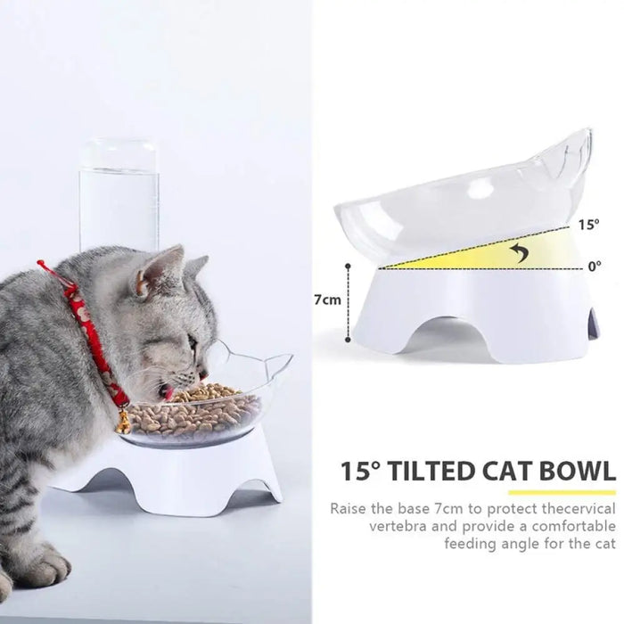 Durable 15°tilted Eco-friendly Double Water Food Kitten