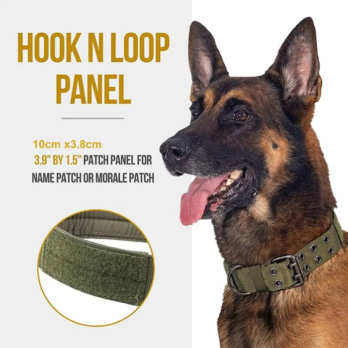 Durable Adjustable Heavy-duty Military Training Pet Collar