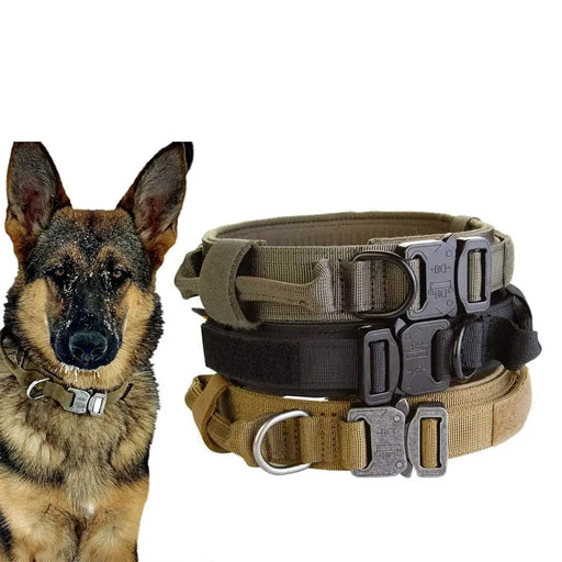 Durable Adjustable Heavy Duty Tactical Pet Collar For Medium