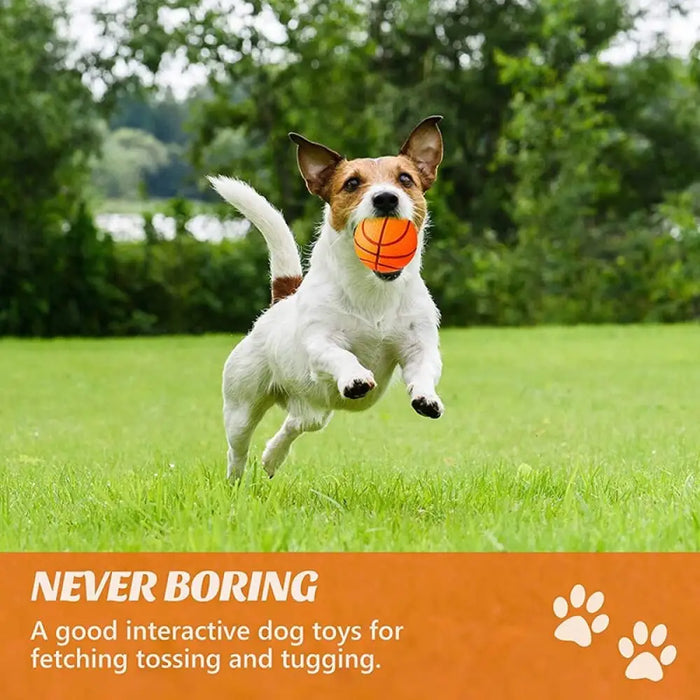 Durable Bouncy Fetch Basketball Chew Ball For Small Medium