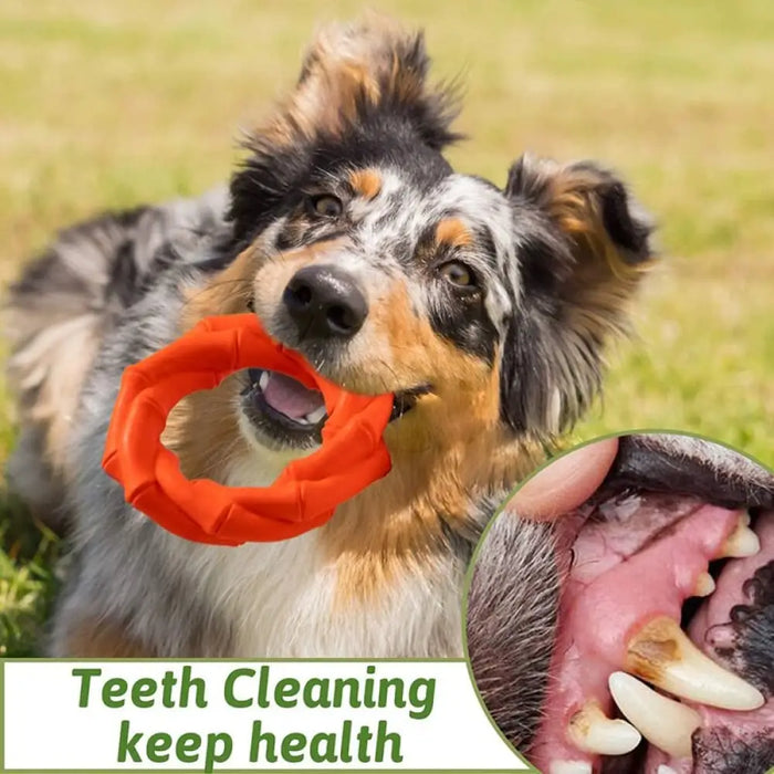 Durable Dog Chew Toy For Aggressive Chewers And Small