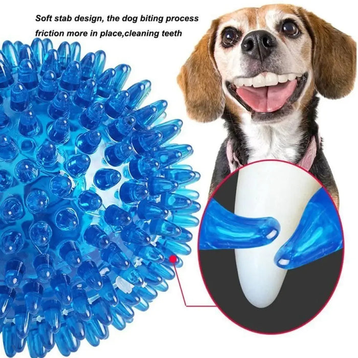 Durable Elastic Teeth Cleaning Squeak Chew Dog Ball Toy