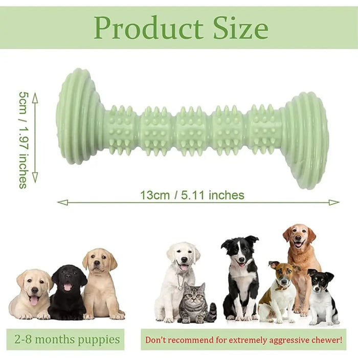 Durable Eco-friendly Dumbbell Shaped Dog Chew Toy For Small