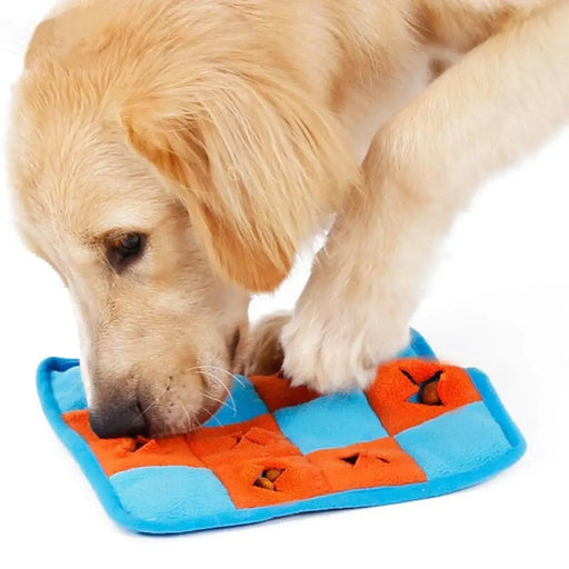 Durable Healthy Reversible Squeaker Slow Feed Sniffing Mat