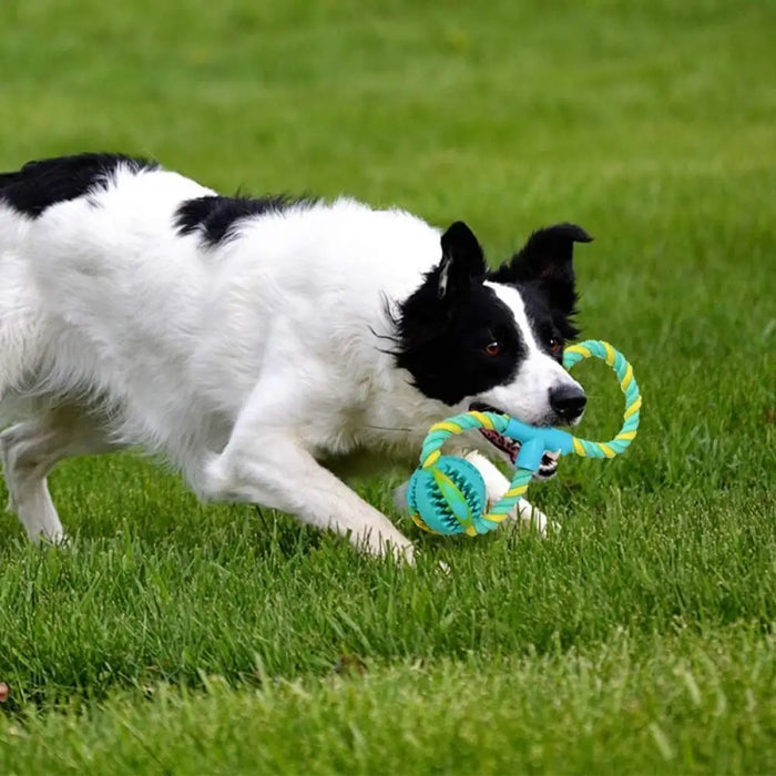 Durable Healthy Teeth Cleaning Rubber Chew Ball Toys