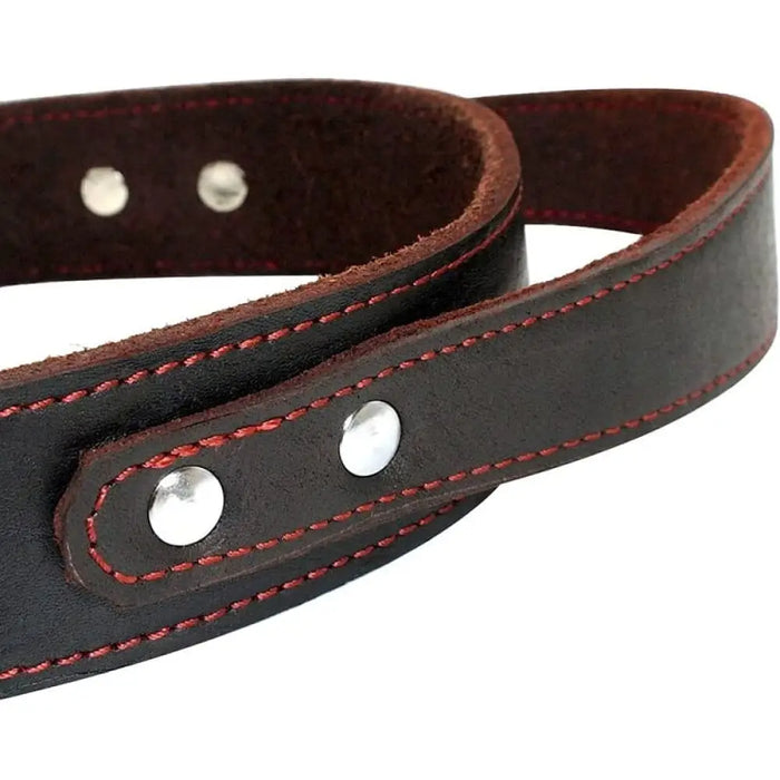 Durable Heavy Duty Leather Control Collar For Medium Large