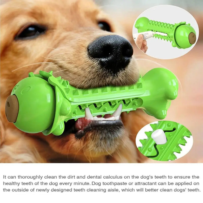 Durable Nontoxic Rubber Floatable Food Dispensing Dog Chew