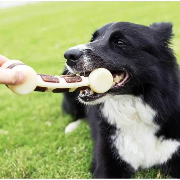 Durable Nylon Teeth Cleaning Beef Flavor Dog Chew Bone Toy