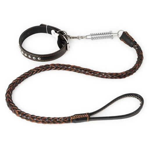 Durable Soft Braided Leather Pet Collar Leash Set For Medium