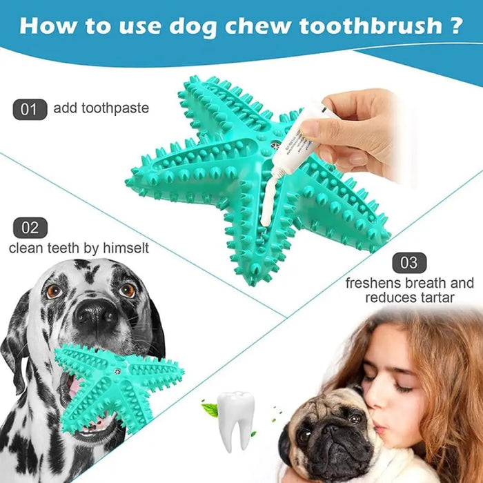 Durable Squeaky Toothbrush Dog Chew Toys For Aggressive