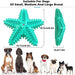 Durable Squeaky Toothbrush Dog Chew Toys For Aggressive