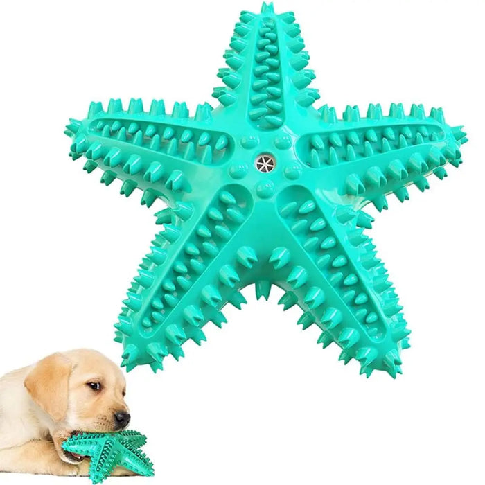 Durable Squeaky Toothbrush Dog Chew Toys For Aggressive