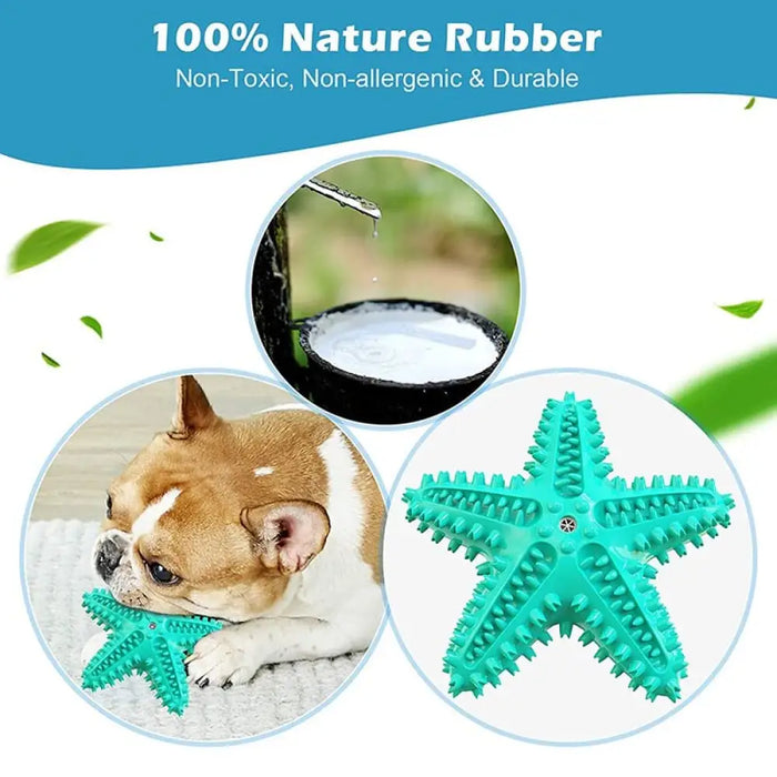 Durable Squeaky Toothbrush Dog Chew Toys For Aggressive