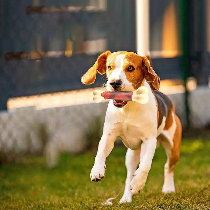 Durable Tooth Cleaning Beef Flavor Dog Chew Bone Toy